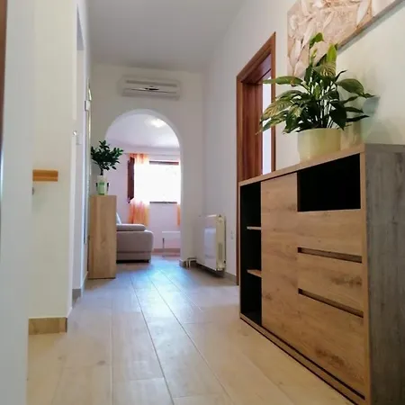 Tudija * 트로기르